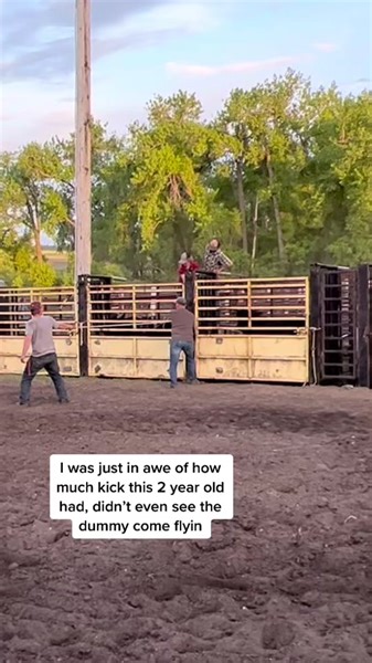 Explore the Thrills of Bucking Bulls in Action