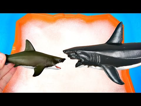 Wild Zoo Baby Animals Names For Kids