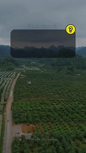 Chemistry Trivia Quiz Game. Follow us for more fun quizzes and interesting facts. . . #thebranypedia #triviachallenge #quiz #quizvideos #funfacts #QuizTime #TriviaTime #triviaquiz #quizgame #chemistry #learning #learn | Brainypedia