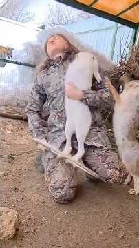 Nobody Told Me Rabbits Could Do THIS…🐰