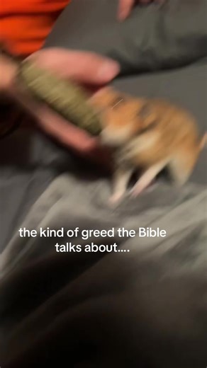 El tipo de codicia que menciona la Biblia