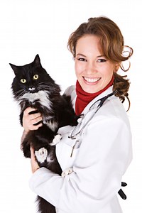 Common Cat Medications