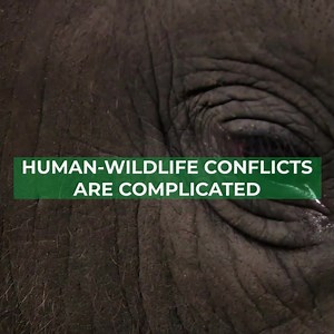 8.6K views · 328 reactions | Every day the lack of forest puts...