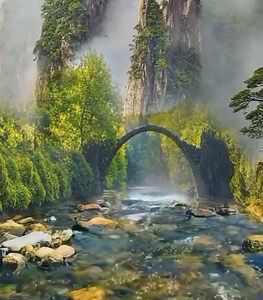 479K views · 10K reactions | ☘️☘️ | Nature | Facebook