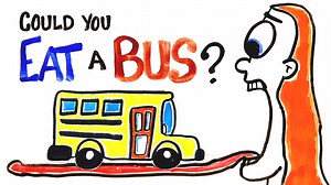 A Scientific Answer to the Question of Whether a Human Could Eat an Entire Bus