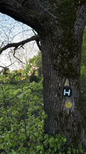 Abendwanderung zum Wilseder Berg in der Lüneburger Heide