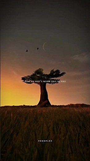In The Stars – Benson Boone | Lyrics 🎵 | Emotional Aesthetic Song | English Songs | Sad Vibe |Slowed