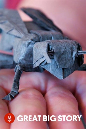 Robert Lang, maître de l'art de l'origami mathématique