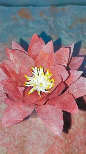 Day-4/♾️ Making Tissue Flower 💐