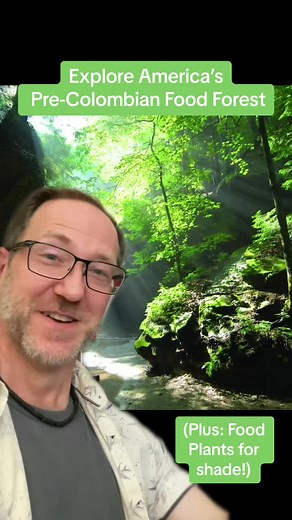 Exploring Native American Food Forests: A Glimpse into Nature's Bounty