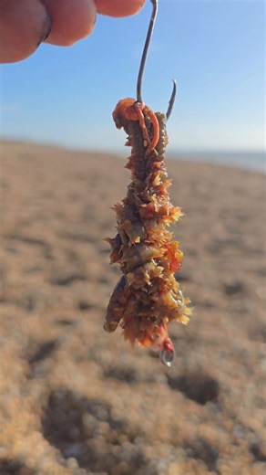 1.5K reactions · 14 shares | Ragworm Sausage on a Dongle Rig One of...