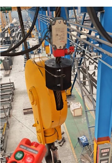 Electric Hoist Over-travel Limit Switch