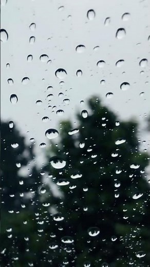 Heavy Rain Sounds on the Window #rainsounds #rain #heavyrain