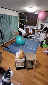 Choo Choo TRAIN 🎵 EXILE TRIBE バランスボール×アクロバット（三男）楽曲を頭の中で想像🤔それを基に多彩な技で即興的に表現💪 #動じない猫 #保護猫5匹 #毎日更新