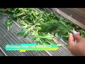 Herb Washing And Drying Machine