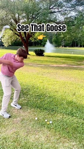SEE THAT GOOSE- Watch This! ⛳️ #master