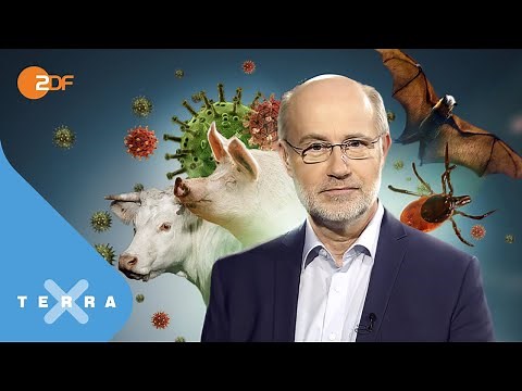 Schweinepest, Corona & Co - der Vormarsch neuer Viren | Leschs Kosmos