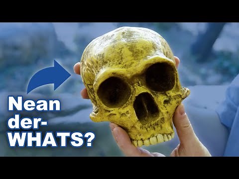 What Should Christians Think About “Apemen” Fossils? - Dr. Todd Wood