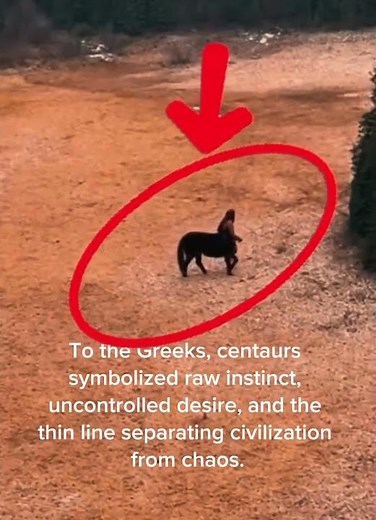 Half human. Half horse.A myth that reveals humanity’s inner battle. 🐎⚔️ #centaur #mythicalmonster