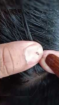 See and enjoy sound ASMR #asmrsounds #hairextensions #scgasmr #notalkingasmr #hair