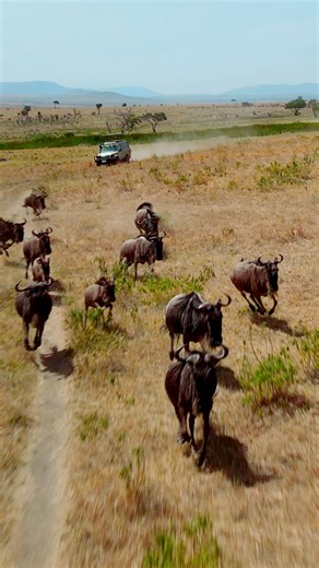 Check out our unique trips to Kenya, Uganda and South Africa. Our experts will guide you. | Africa Safari Trips