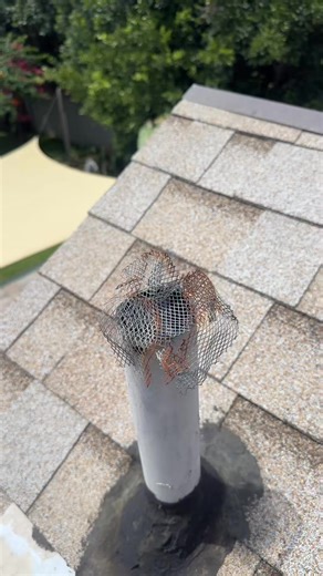 The ultimate way to rodent proof your roof vents for life ! #roofventcovers #roofvents #roofventcaps #twintraps #rodentstoppers #fyp #tips #OMG #diy | Twin Home Experts