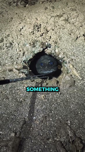 The Creepy Fish That Wasn’t Dead 🥶