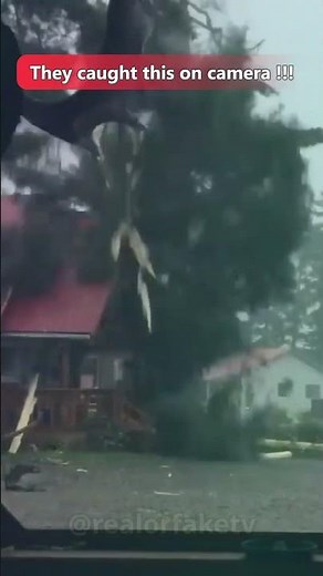 OMG! You Won't Believe This Lightning Strike on a Pine Tree!
