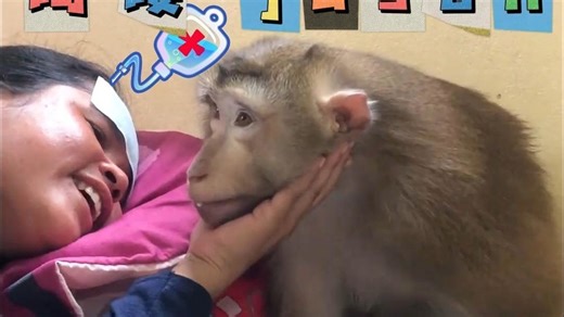 吗喽jason开冰箱门，竟然不是去拿零食，是给妈妈拿退热贴