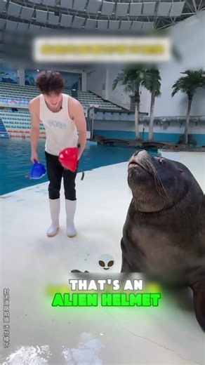 That helmet you’re wearing is super dangerous—aliens did it! 👽🚨 #shortvideo