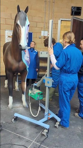 Behind the Scenes at our School of Veterinary Medicine | University of Surrey