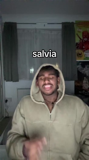 Exploring Salvia: The Mind-Altering Plant Experience