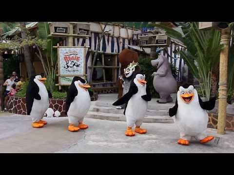 Madagascar Boogie!