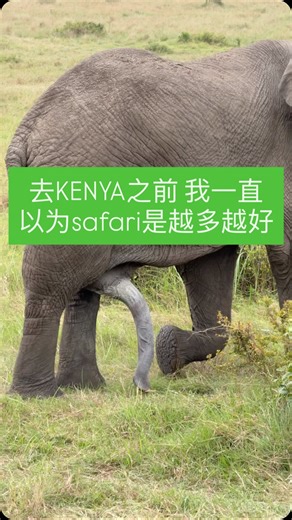 Chiapopo | Kenya Experience on Instagram: "｜去肯尼亚前，我一直以为 Safari 是越多越好 还记得第一次研究肯尼亚 Safari 时，我也犯过一个很常见的错误： 我以为动物越多、国家公园跑越多，体验就一定越好。 后来才发现，这个想法几乎会毁掉一趟 Safari。 Safari 和一般旅行不一样，它不是拍景点照、不是打卡数量，而是一种需要时间“等待”的体验。如果行程被排得太满，每天只是在赶路、换住宿、追行程表，反而会让人一直处在疲惫和焦虑里。 ▋真正好的 Safari，其实很讲究节奏。 前几天如果一落地就高强度 Game Drive，身体还没从长途飞行恢复，注意力很快就会被消耗掉。你会开始觉得“怎么一直在车上”、“怎么又要早起”。 后来我慢慢明白，Safari 应该先让人进入状态。 先看地貌、先理解草原、先用比较轻的观察去建立感觉，而不是一开始就追刺激。 很多人不知道，Safari 最珍贵的不是开车，而是等待。 而等待，是需要体力、精神和耐心都在线的。 如果前段就把能量耗光，中后段反而会错过真正精彩的东西。 Safari 行程排得满，看起来很