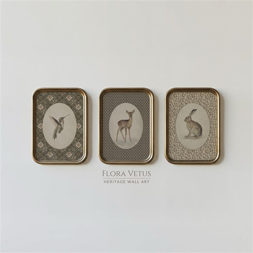 Set of 3 Animal Prints: Vintage Pattern Gallery Set, Heritage Wall Art (digital Download) - Etsy