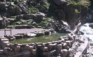 地獄谷野猿公苑ライブカメラ | 長野県下高井郡山ノ内町 | ライブカメラJAPAN FUJIYAMA