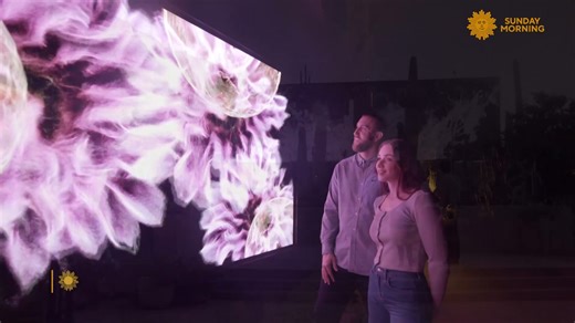 "Desert Pulse," an art installation at the Desert Botanical Garden in Phoenix, is a multi-sensory immersion featuring time-lapse imagery of Arizona's Sonoran Desert – a landscape pulsing with life. Lee Cowan talks with U.K. architects Matt Shaw and Will Trossell, who brought a 3-D LIDAR scanner (a tool used in surveying) to the desert to capture tens of millions of data points, which ScanLAB Projects converted into vibrant digital evocations of an ecosystem breathing, growing and retreating. | C