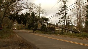 Tree companies working overtime on storm cleanup
