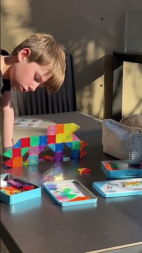 PicassoTiles PicassoToys Nano Magnetic Building Tiles Construction Travel Set Carry Case