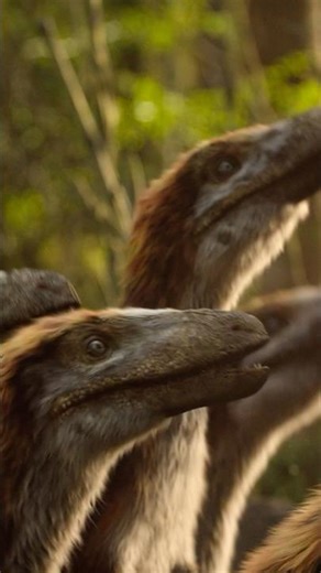 Girlhood ist ein großes Spektrum