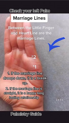 Discover the Meaning of Palm Lines | Palmistry Guide