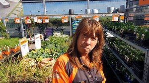 Mitre 10 Mega in Greymouth have a great garden center. | The Coasters Club