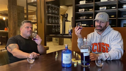 Gin tasting: Empress 1908 vs. Gunpowder Irish