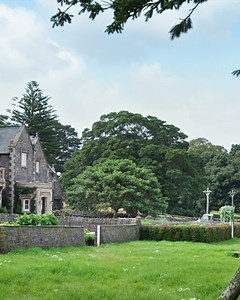 100K views · 4.7K reactions | This May, get ready for the ultimate family event.  Watch the trailer for #PeterRabbit2: Rabbit On The Run now and see Peter in cinemas May 13! | Empire Movies | Facebook