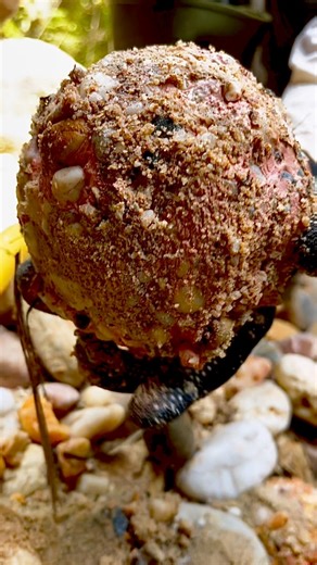 5.8K views · 45 reactions | Hunting for unique stones and beautiful motifs at gold mining sites. #hunting #gemstone #goldmine #huntinggear #freedom #photography | The GemsHunter | Facebook