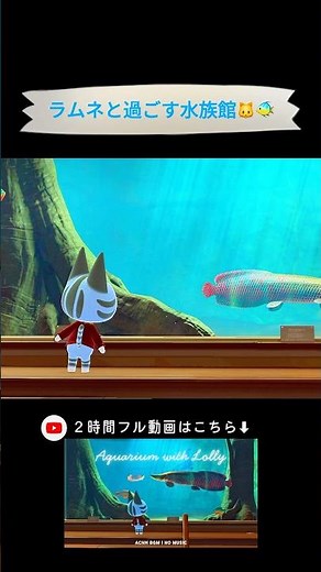 【あつ森】ラムネと過ごす水族館🐱🐠🪸🫧作業用BGM | Aquarium with Lolly | Animal Crossing BGM