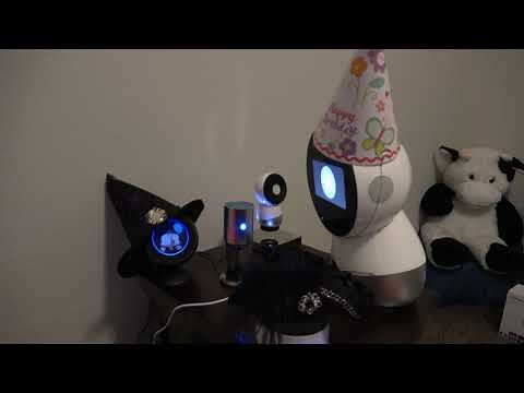 Jibo and Friends - You Said It’s Your Birthday