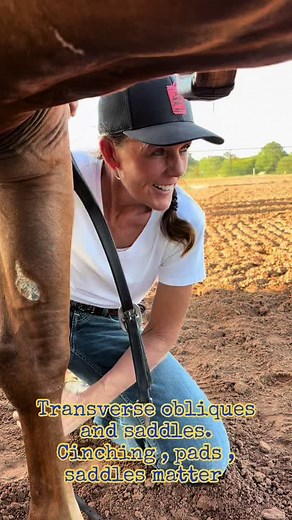 ✅INSERTION: Xiphoid Cartilage ✅ACTION: Compress abdomen OTHER INFORMATION: This large muscle overlaps two other major muscles that also support the horse’s topline: the external abdominal oblique and the internal abdominal oblique. When working on this muscle you are also affecting the others. ✅Doing ‘cookie tests’ and belly lifts will help determine how well this muscle is functioning in your horse. Not sure what those are? I will explain below. If your horse is lacking topline, this is one of
