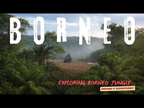 BORNEO OVERLANDING ADVENTURE : Driving into Borneo’s Forgotten Jungle.