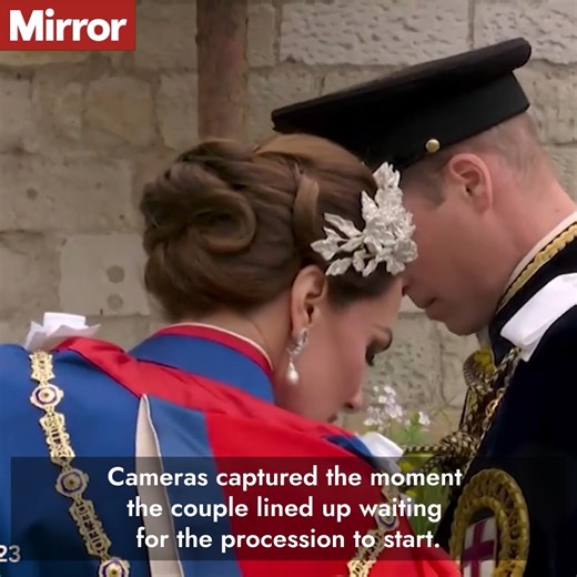 195K views · 1.9K reactions | A lip reader explained what they appeared to say. | The Mirror | Facebook